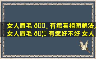 女人眉毛 🌸 有痣看相图解法,女人眉毛 🦍 有痣好不好 女人眉毛有痣贪色吗